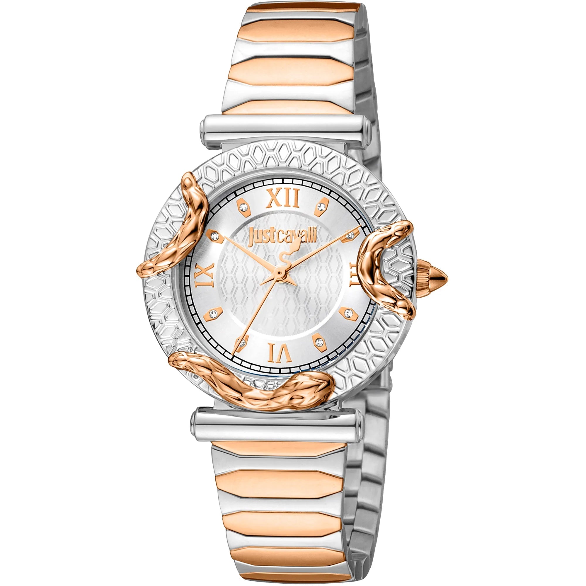 Just Cavalli JC Trama 2 Two Tones RG